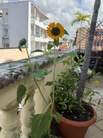La casita de Adri habitación privada en alojamiento compartido en zona colonial - Chambres d'hôtes Saint Domingue