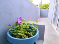 The Shore Residence - Ferienwohnung Hikkaduwa