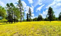 Legacy Homestead Cabin White Mountains AZ - Ferienwohnung Overgaard
