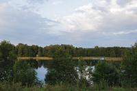 One-Bedroom Suite with Panoramic Lake View