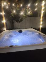 Modern Tampa Retreat Hot Tub EV Charger Sleeps 8 - B&B Tampa