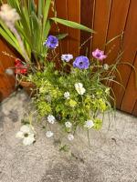 Currach Bán - B&B Galway