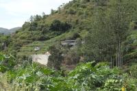 SHOLA Holiday Home with Uyillatti Waterfalls View - Ferienwohnung Kotagiri