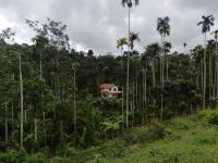 SpiceBook Homestay Wayanad - Chambres d'hôtes Ganapathivattam