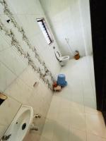 SP Blueberry - B&B Shirdi