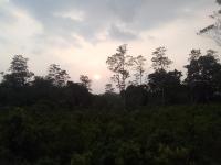 Tharu villa - Ferienwohnung Hikkaduwa