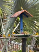 Finca La Pomarosa Style- Nature, pool and relaxation - B&B San Francisco