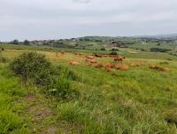 Vistas de lince 2 - B&B Suances