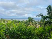 Palm Trees - B&B Sigatoka