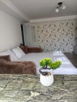 Transfăgărășan Gateway - Apartament modern - Curtea de Arges - B&B Curtea de Argeş