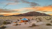 Mojave Yurt Featured in Rolling Stone, Stargaze - B&B Joshua Tree