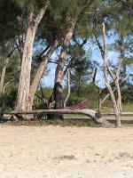 Praia do pontal lugar de descanso - Chambres d'hôtes Arraial do Cabo