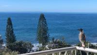 Sea Eagles Unit 9 - B&B Caloundra