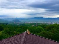 Hanu lu Mos Opinca - B&B Deva