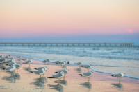 Sea of Tranquility - B&B Port Aransas