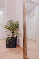 Ferienwohnung Palm SPA - Chambres d'hôtes Meckesheim