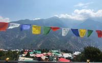 Mountain Breeze Home Stay - B&B Kalpa