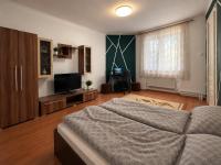 Central Apartament on Green Three Street - B&B Oradea