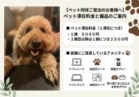 田 Den Kamakura Petと泊まれる ペット滞在費別途 - Ferienwohnung Kamakura