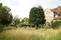Haus Kroneck-Salis Gästeappartement-Ferienwohnung - B&B Bad Iburg