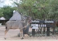 Buffalo Chalets - Chambres d'hôtes Marloth Park