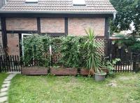 Gesinde Loft - Chambres d'hôtes Schönwalde