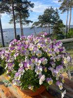 Cabin by the sea with great views - Ferienwohnung Fredrikstad