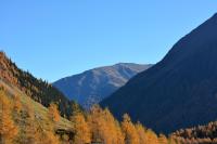 Haus Sonnenalm - B&B