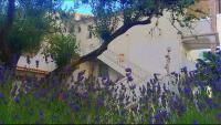 Apartments in Banjol - Insel Rab 36260 - B&B Banjol