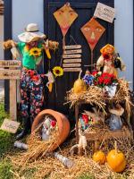 Tinyhouse Alpakas Ruhe&Natur Lavendelnest Südburgenland- Frühstück zubuchbar - Chambres d'hôtes Eltendorf