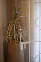 Ilaba Apartment - 2 minutes from Mont Choisy Beach - B&B Trou aux Biches