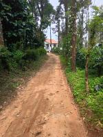 Sunside estate stay - Bed and Breakfast Madikeri