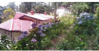 Heritage Boutique Stay Near Oberoi Cecil - Ferienwohnung Shimla