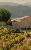 THE VINEYARD HOUSES - Pasithea - Chambres d'hôtes Mikínai
