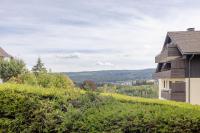 Wellness Loft mit Pool und Sauna - Ferienwohnung Lenzkirch