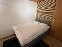 Dream apartment on Lake Brienz - Bed and Breakfast Brienz