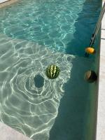 Private Modern Villa with Pool & BBQ Stone Hill Garden - Ferienwohnung Nurnus