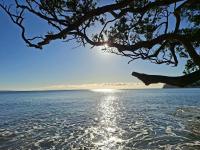 Modern Coastal Retreat - 1 min walk to Beach - B&B Whangaparaoa