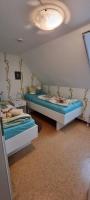 Kleiner Zander - B&B Borkum