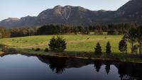 Hemel 'N Aarde Stud - B&B Hermanus