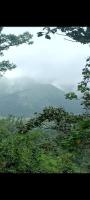 Coorg Silver Mountain Estate Stay - B&B Madikeri