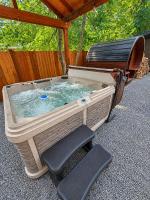 Log cabin at Rainier with hot, tub, sauna, and gym - B&B Ashford