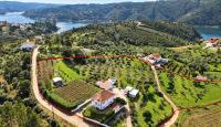 Casa da Lameira - Bed and Breakfast Serra