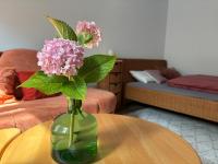 Cozy apartment near Darmstadt & forest - B&B Roßdorf