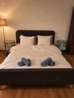 Uniria Studio Balotești Near Therme and Otopeni Airport Free Private Parking - Chambres d'hôtes Baloteşti