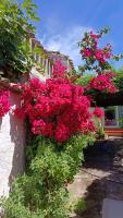 Domu de mannai - Casa vacanze in Sardegna - Chambres d'hôtes Sant'Andrea Frius