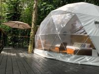 Wild Dome El Yunque Zone Puerto Rico - B&B Canovanas