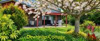 Dewdrop - Ferienwohnung Hastings