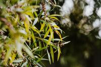 Luxe Loft - Contemporary Comfort by Mudgee's CBD - B&B Mudgee