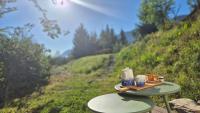 Haus am FELS Steinbrech - B&B Hermagor